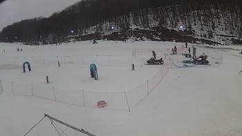 Ведмежа 9 лютого 2019 року, 2019-02-09 10:00