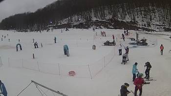 Ведмежа 9 лютого 2019 року, 2019-02-09 13:00