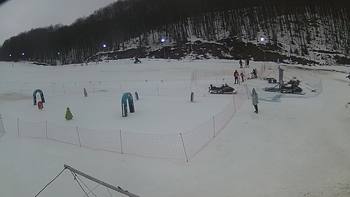 Ведмежа 9 лютого 2019 року, 2019-02-09 16:00