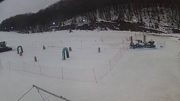 Ведмежа 11 лютого 2019 року, 2019-02-11 10:00