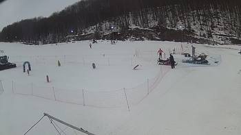 Ведмежа 13 лютого 2019 року, 2019-02-13 10:00