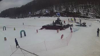 Ведмежа 14 лютого 2019 року, 2019-02-14 16:00
