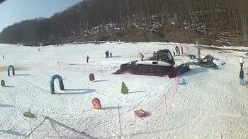 Ведмежа 18 лютого 2019 року, 2019-02-18 13:00