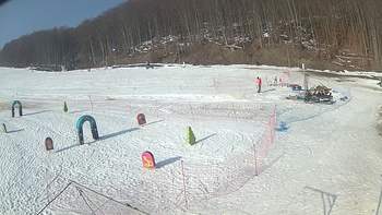 Ведмежа 19 лютого 2019 року, 2019-02-19 10:00