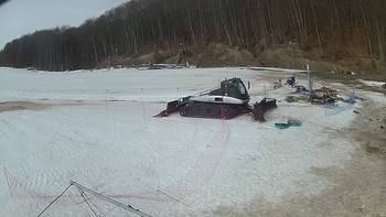 Ведмежа 1 березня 2019 року, 2019-03-01 10:00