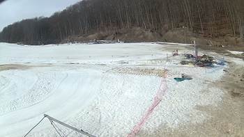 Ведмежа 1 березня 2019 року, 2019-03-01 13:00