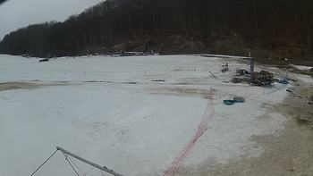 Ведмежа 1 березня 2019 року, 2019-03-01 16:00
