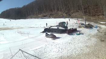 Ведмежа 2 березня 2019 року, 2019-03-02 13:00