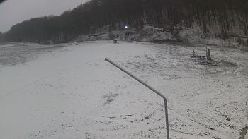Ведмежа 2 грудня 2019 року, 2019-12-02 10:00