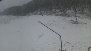 Ведмежа 2 грудня 2019 року, 2019-12-02 16:00