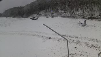 Ведмежа 3 грудня 2019 року, 2019-12-03 13:00