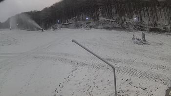 Ведмежа 4 грудня 2019 року, 2019-12-04 10:00