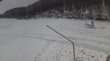 Ведмежа 4 грудня 2019 року, 2019-12-04 13:00