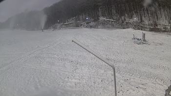 Ведмежа 5 грудня 2019 року, 2019-12-05 10:00