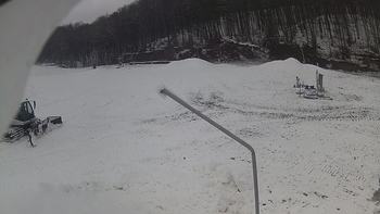 Ведмежа 6 грудня 2019 року, 2019-12-06 13:00