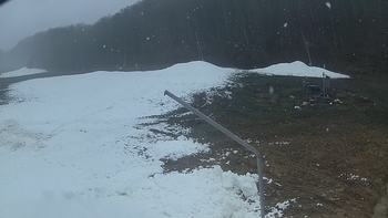 Ведмежа 11 грудня 2019 року, 2019-12-11 13:00