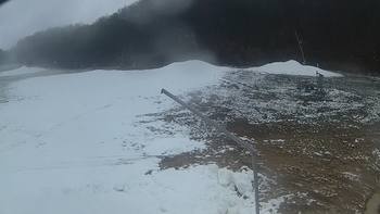Ведмежа 13 грудня 2019 року, 2019-12-13 13:00