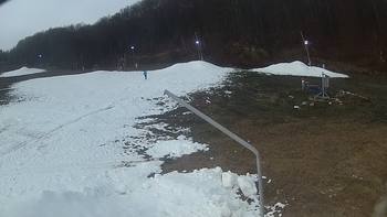 Ведмежа 14 грудня 2019 року, 2019-12-14 10:00