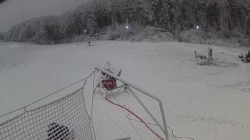 Ведмежа 4 січня 2020 року, 2020-01-04 13:00