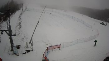 Ведмежа 28 лютого 2020 року, 2020-02-28 13:00
