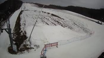 Ведмежа 1 березня 2020 року, 2020-03-01 10:00
