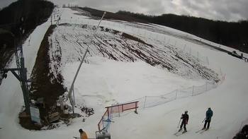 Ведмежа 1 березня 2020 року, 2020-03-01 13:00