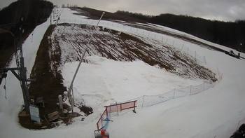 Ведмежа 1 березня 2020 року, 2020-03-01 16:00