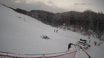 Ведмежа 22 січня 2022 року, 2022-01-22 16:00