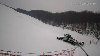 Ведмежа 25 січня 2022 року, 2022-01-25 10:00