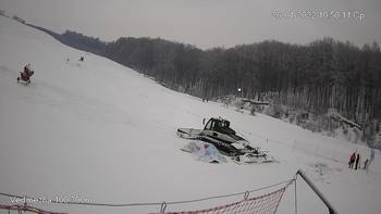 Ведмежа 26 січня 2022 року, 2022-01-26 10:00