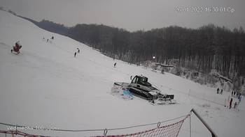Ведмежа 26 січня 2022 року, 2022-01-26 16:00