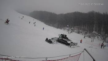 Ведмежа 27 січня 2022 року, 2022-01-27 13:00