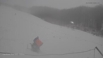 Ведмежа 2 грудня 2023 року, 2023-12-02 13:00