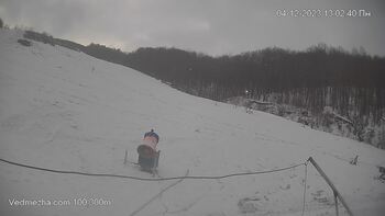 Ведмежа 4 грудня 2023 року, 2023-12-04 13:00