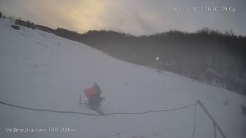 Ведмежа 6 грудня 2023 року, 2023-12-06 16:00