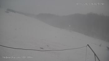 Ведмежа 7 грудня 2023 року, 2023-12-07 16:00