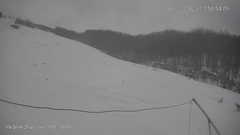 Ведмежа 8 грудня 2023 року, 2023-12-08 13:00