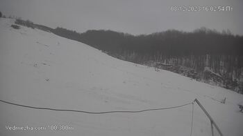 Ведмежа 8 грудня 2023 року, 2023-12-08 16:00