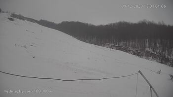 Ведмежа 9 грудня 2023 року, 2023-12-09 13:00