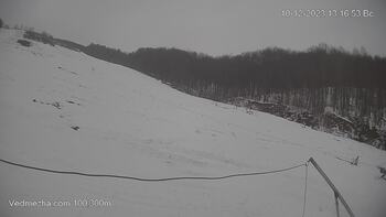 Ведмежа 10 грудня 2023 року, 2023-12-10 13:00