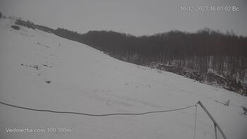 Ведмежа 10 грудня 2023 року, 2023-12-10 16:00
