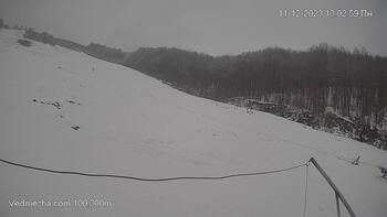 Ведмежа 11 грудня 2023 року, 2023-12-11 13:00