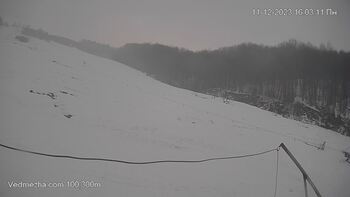 Ведмежа 11 грудня 2023 року, 2023-12-11 16:00