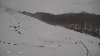 Ведмежа 13 грудня 2023 року, 2023-12-13 16:00
