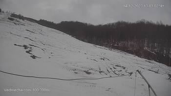 Ведмежа 14 грудня 2023 року, 2023-12-14 13:00