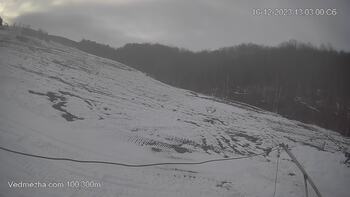 Ведмежа 16 грудня 2023 року, 2023-12-16 13:00