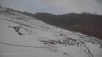 Ведмежа 18 грудня 2023 року, 2023-12-18 16:00