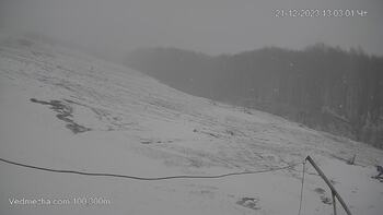 Ведмежа 21 грудня 2023 року, 2023-12-21 13:00