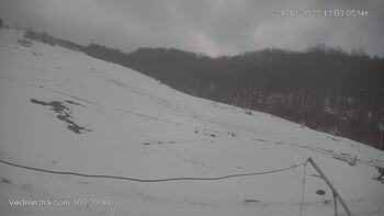 Ведмежа 28 грудня 2023 року, 2023-12-28 13:00