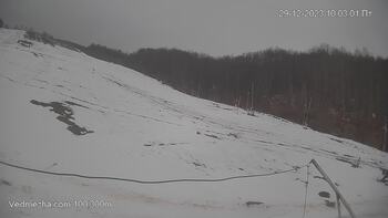 Ведмежа 29 грудня 2023 року, 2023-12-29 10:00